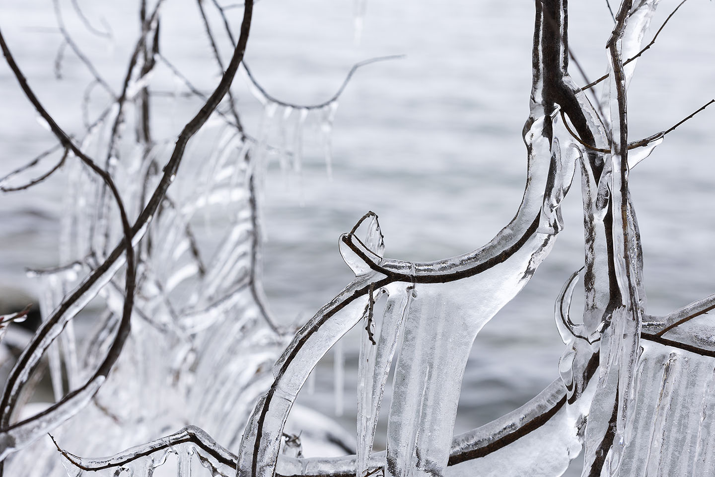 Romanshorn 3 Grad minus